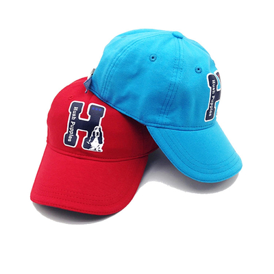 Die gepaßten Hüte der ACE-Headwear-Kinder 6 Platten-Baseballmütze-Mode-Hüte
