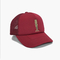 Platten-Fernlastfahrer-Kappe des Klassiker-5 mit gesticktem Siebdruck hinzugefügtem Flecken-Logo