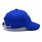 BSCI 6 Panel Klassiker Sport Vater Hut Stickerei Logo Blau Baumwolle Gorras Männer Frauen Baseballkappe