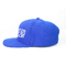 Blau flache Hysteresen-Druckkappen Bills Hip Hop in Sommer-Logo-Aufkleber nach Maß