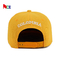 Kundenspezifische flache Rand-Hysteresen-Hüte mit Logo-Hip Hop-Verschluss-hinteren Kappen der Stickerei-3D