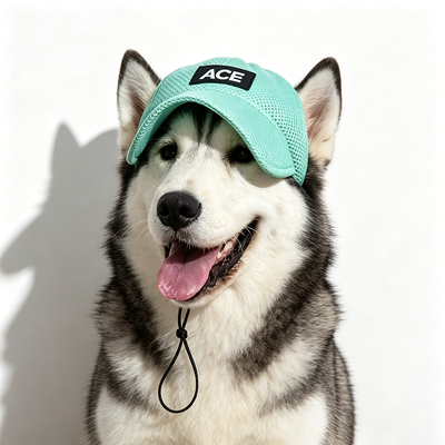 Outdoor und Indoor Pet Hut geeignet für kleine Hunde Paket beinhaltet 1 X Pet Hut verstellbarem Gurt für sichere Passform
