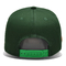 5 Platten-flache Kurven-Hysteresen-Kappe mit Stickerei Logo Structured Baseball Cap