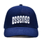 Custom High Quality 6 Panels Baseball Hut mit flachen Stickerei Logo Passende Stofffarbe