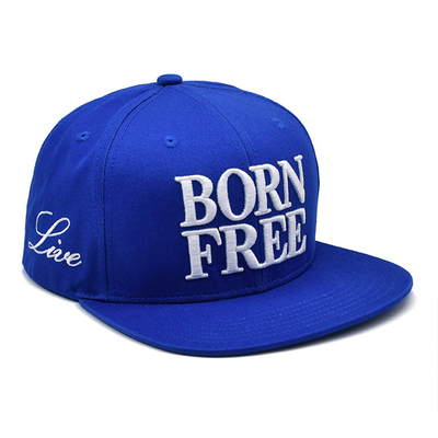 Custom Broderie Logo 6 Panel Baumwolle Snapback Hüte unstrukturiert Flat Bill Snapback Kappen