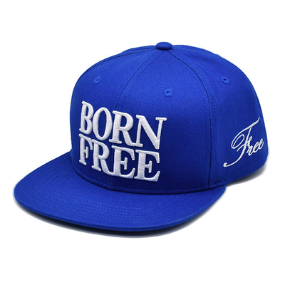 Custom Broderie Logo 6 Panel Baumwolle Snapback Hüte unstrukturiert Flat Bill Snapback Kappen