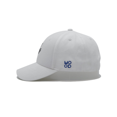 Großhandel maßgeschneiderte Baseballkappe 6 Stück Männer und Frauen hochwertige Golf-Sportnetzkappe für individuell bestickten