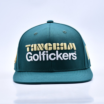 3D Stickerei Logo Stilvolle Qualität 6 Paneele Snapback Hut heiß verkaufen