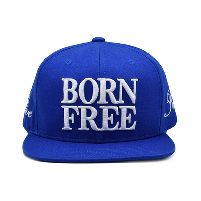 Atemberaubende Flachkante Snapback-Hütte mit benutzerdefiniertem Sticklogo