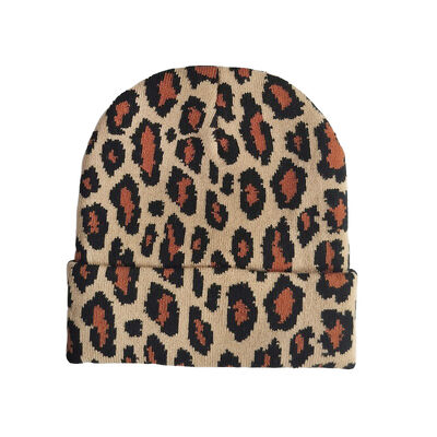 Skibeanie Wintersport Warmhut für Männer Frauen Schneeactivitäten Custom Logo Bean Outdoor